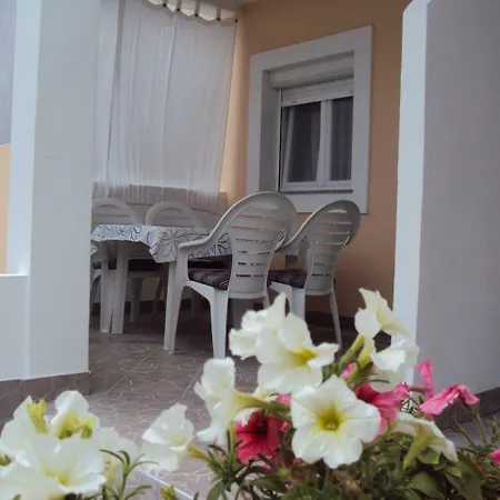Apartment Zana *